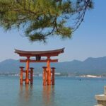 Hiroshima Peace Memorial and Miyajima 8 Hour Tour with Local - The Overall Experience: What’s in It for You?