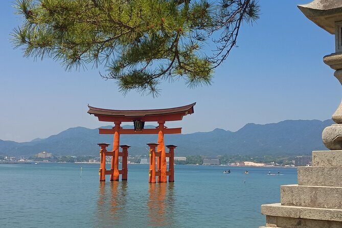 Hiroshima Peace Memorial and Miyajima 8 Hour Tour with Local - The Overall Experience: What’s in It for You?
