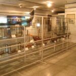 Historical Delhi Museum Tour - An In-Depth Look at the Tour Itinerary