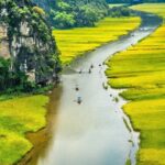Hoa Lu- Tam Coc -Ninh Binh 1 day by Limousine bus small group - Practical Tips and Considerations