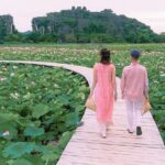 Hoa Lu - Trang An - Hang Mua with Small Group by Limousine - Practical Tips for Travelers