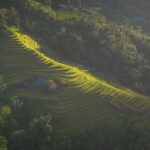 Hoang Su Phi Loop 4 Day Motorbike and Hiking Tour - Transportation & Group Dynamics