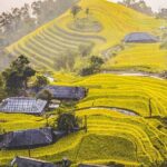 Hoang Su Phi Trekking Tour 3 days 2 nights - Authenticity and Unique Aspects