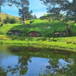 Hobbiton Small group Tour from Tauranga Port - Transportation and Group Size