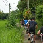 Hoi An Countryside Craft Villages Bike Tour | Joyful & Safe - Visiting Craft Villages: Skills and Stories