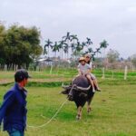 Hoi An Countryside Tour with 3 Local Villages by Army Jeep or Private Car - Transportation and Comfort