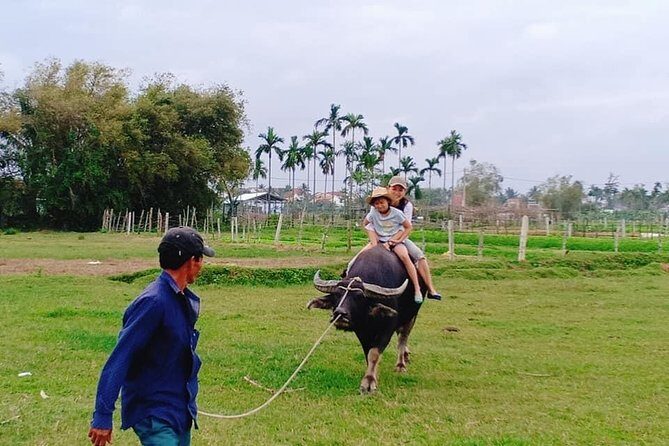 Hoi An Countryside Tour with 3 Local Villages by Army Jeep or Private Car - Transportation and Comfort