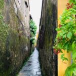 Hoi An: Half-day Hoi An Heritage Walk - Who Will Enjoy This Tour?