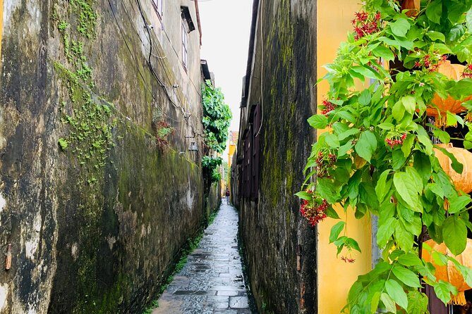 Hoi An: Half-day Hoi An Heritage Walk - Who Will Enjoy This Tour?