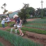Hoi An Lantern Making Class and Silk Weaving- Vegetable Farming Private Tour - Who Should Consider This Tour?