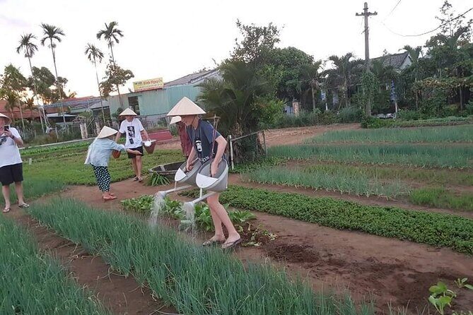 Hoi An Lantern Making Class and Silk Weaving- Vegetable Farming Private Tour - Who Should Consider This Tour?