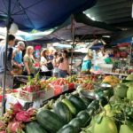 Hoi An : Local Market Walk,Basket Boat and Cooking Class - Why This Tour Works — The Highlights