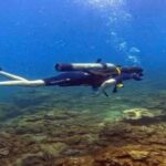 Hoi An snorkeling by speedboat at Cham Island - Practical Tips for Travelers