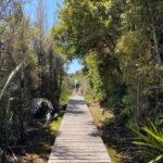 Hokitika: Wilderness Trail eBike Tour & Hokitika Gorge Walk - Visiting Dorothy Falls & Transition to Cycling