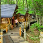 Hokkaido, Asahikawa Zoo Classic Day Tour With Optional Snomobile - Who Will Love This Tour?