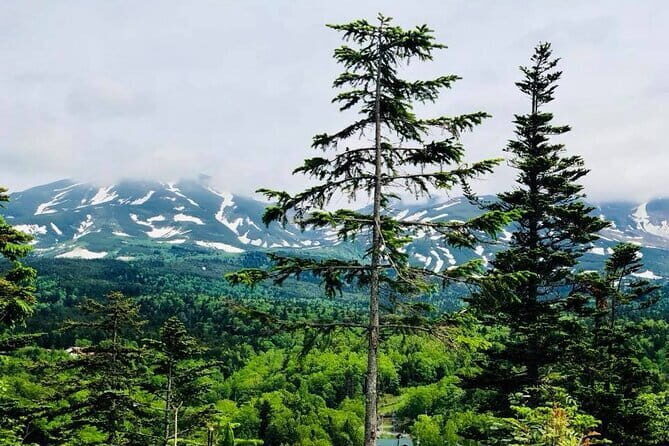 Hokkaido Asahiyama Zoo and Blue Pond Elf Terrace Day Trip - Practical Tips and Considerations