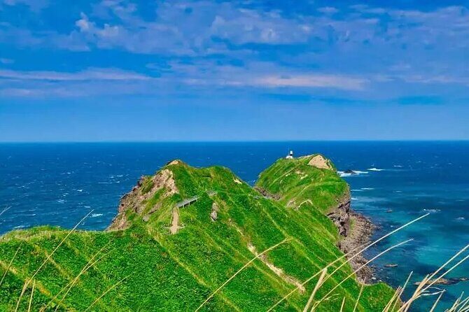 Hokkaido Cape Kamui Shimamui Coast Otaru Day Tour from Sapporo - The Whisky and Town Stops That Add Charm and Culture