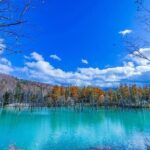 Hokkaido Day Trip From Sapporo, Asahiyama Zoo to Ningle Terrace - Who Is This Tour Best For?