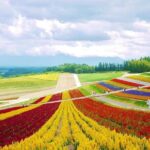 Hokkaido Farm Tomita Shikisai Hill Waterfall& Blue Pond Day Tour - In-Depth Breakdown of the Tour