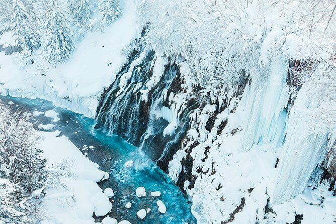 Hokkaido Tour, Asahiyama Zoo, Christmas Tree and Biei Green Pond - Who Should Consider This Tour?