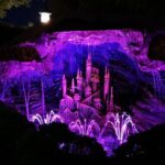 Hong Kong Disneyland Hotel 3-Night Package plus Giant Buddha Cable Car Tour - Who Is This Tour Best For?