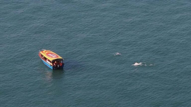 Hong Kong: Lantau Island Tour Cable Car & Village Lunch - FAQs