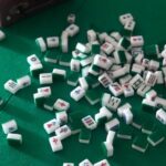 Hong Kong Mahjong and Food Experience - The Learning Segment: Mahjong Basics and Practice