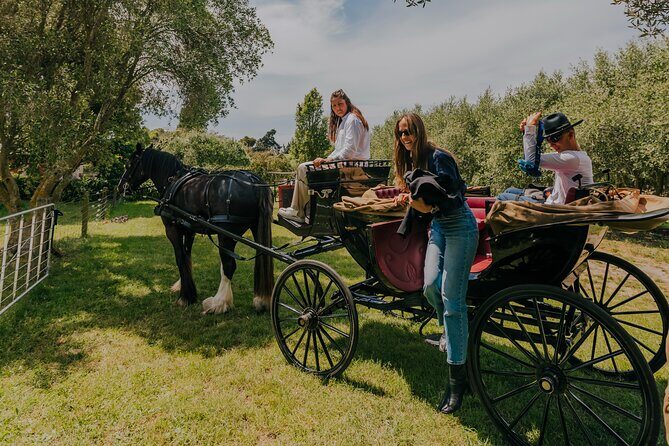 Horse and Carriage Wine Tour in Marlborough with Lunch - The Sum Up