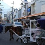 Horse Carriage Ride with Mt. Fuji Views - The Ethical and Cultural Dimension
