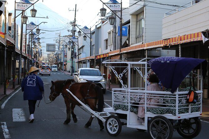 Horse Carriage Ride with Mt. Fuji Views - The Ethical and Cultural Dimension