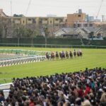 Horse Racing Tour with Local Fans in Nakayama Racecourse - Who Should Consider This Tour?