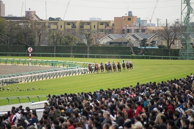 Horse Racing Tour with Local Fans in Nakayama Racecourse - Who Should Consider This Tour?