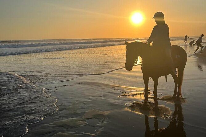 Horse Riding Bali On pigstone beach, Rice Field and village Tour - Authentic Experiences and Hidden Gems