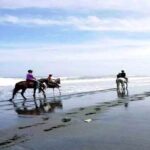 Horse Riding Experience on Black Sand Beach Bali - The Sum Up