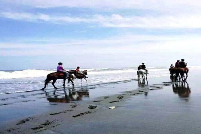 Horse Riding Experience on Black Sand Beach Bali - The Sum Up
