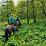 Horse Riding in Ala Archa National Park - Who Will Love This Tour?