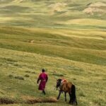 Horse Trekking Tour in Central Mongolia  Nomadic Adventure - Authentic Nomadic Encounters