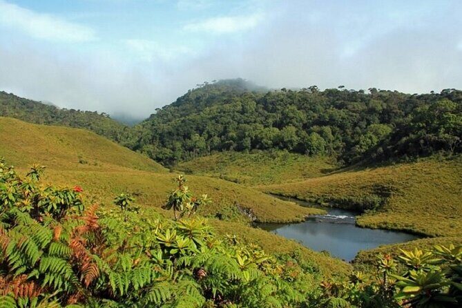 Horton Plains National Park : Private Guided Trekking Tour - Who Should Book This Tour?