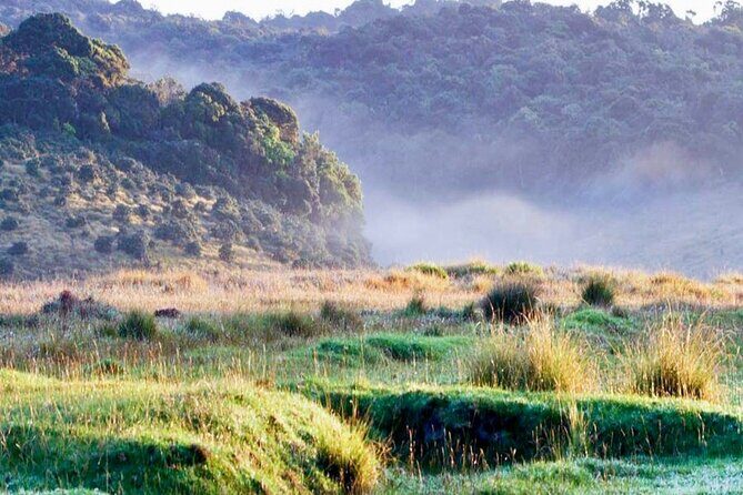 Horton Plains Park & Worlds End Guided Trekking From Nuwara Eliya - The Included Lunch and Additional Perks