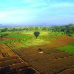 Hot Air Ballooning from Habarana - Why You Should Consider This Tour