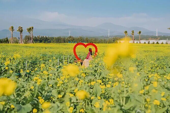 (Hotel PickUp) Jeju EAST Canola Flower Festival Tour with UNESCO - Who Should Consider This Tour?