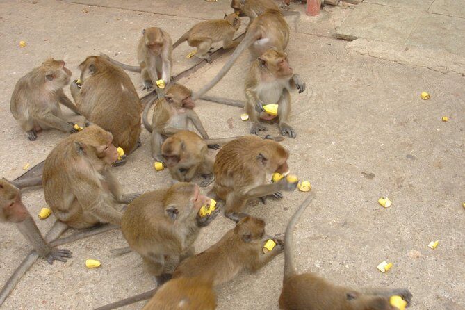 Hua Hin High Light & Vineyard - Who Should Book This Tour?