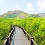 Hua Hin: HuaHin Sightseeing Tour - What Makes This Tour Stand Out?