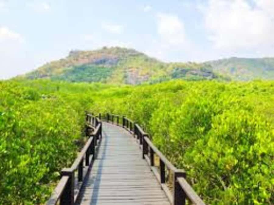 Hua Hin: HuaHin Sightseeing Tour - What Makes This Tour Stand Out?