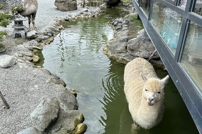 Hualien Tour in Qixingtan Beach, Liyu Lake, and Lintianshan Park - Who Should Consider This Tour?