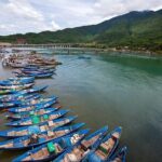 Hue City Daily Tour From Da Nang Explore the Imperial Citadel of Hue - Who Should Consider This Tour?