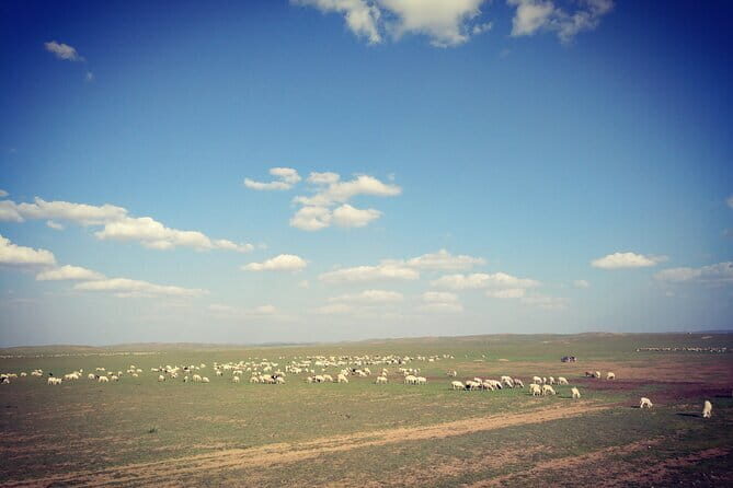 Huhhot Inner Mongolia 3 Days Xilamuren kubuqi Desert Nature Tour - Practical Details and Value