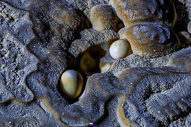 Hung Thoong Exploration 3 days 2 nights - The Sum Up