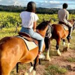 Hunter Valley Sunset Horse Ride - 90 Minutes - What to Expect on the Hunter Valley Sunset Horse Ride