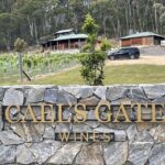 Hunter Valley: Wine and Cheese Tasting - Authentic Insights from Reviewers